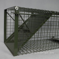 Whit Bird Cage Animal Live Trap un oiseau